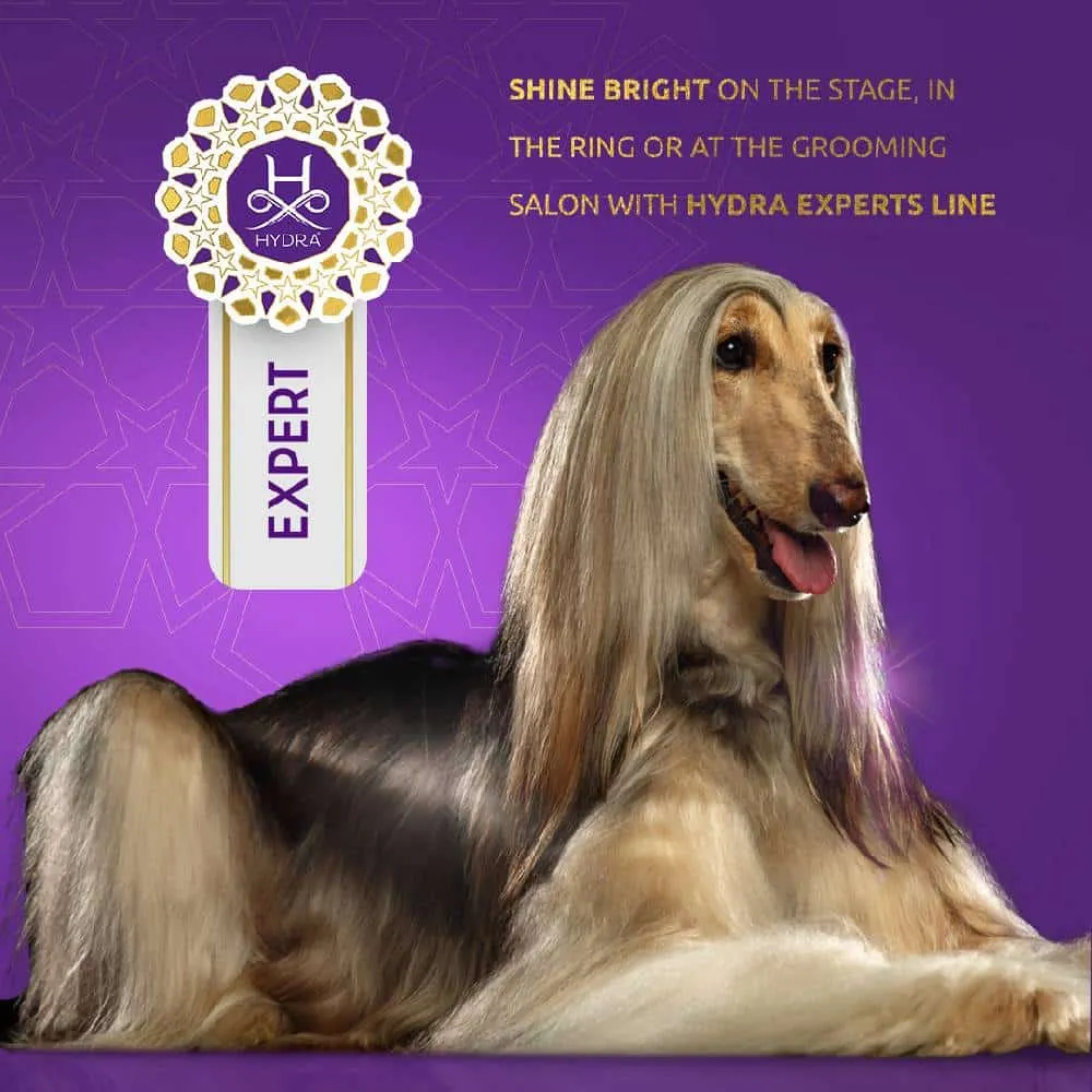 Expert Volumizing Mousse 33.8oz by Hydra