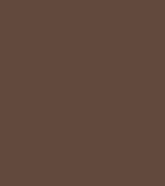 FA 64 - Focallure Waterproof 3 in 1 Auto Eyebrow Pencil