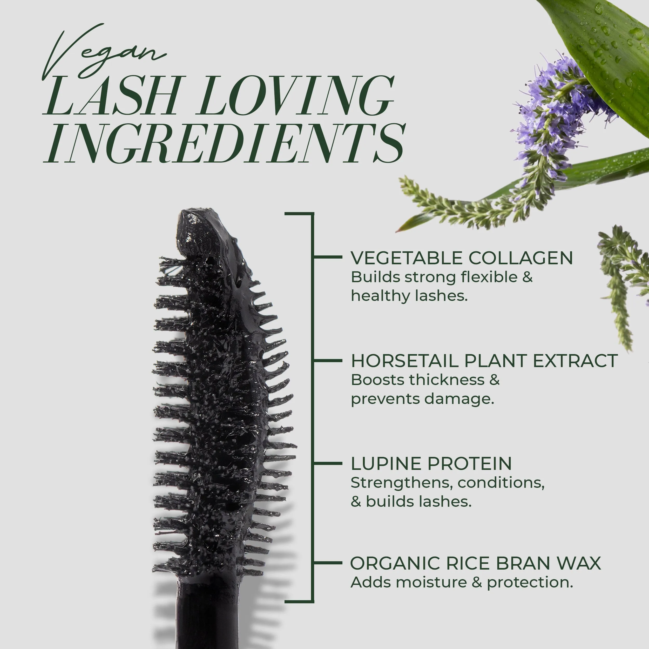 Good Lash   Mascara