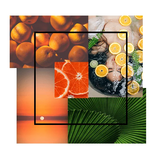 Kaia Naturals | Charcoal Deodorant [Mandarin Pomelo]
