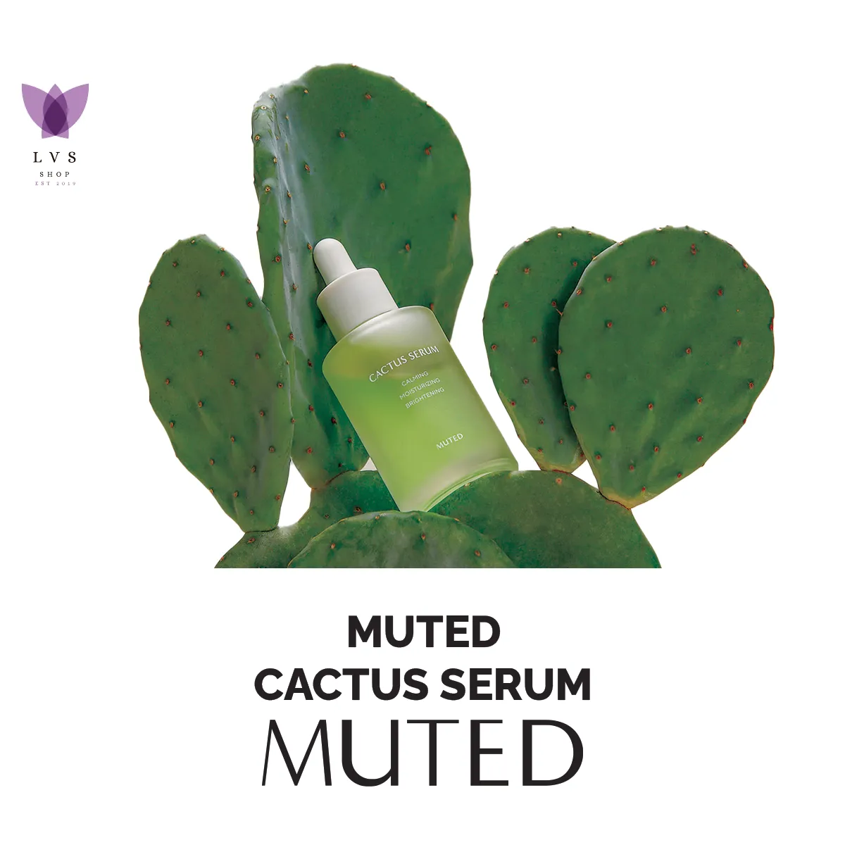MUTED Cactus Serum (50ml)