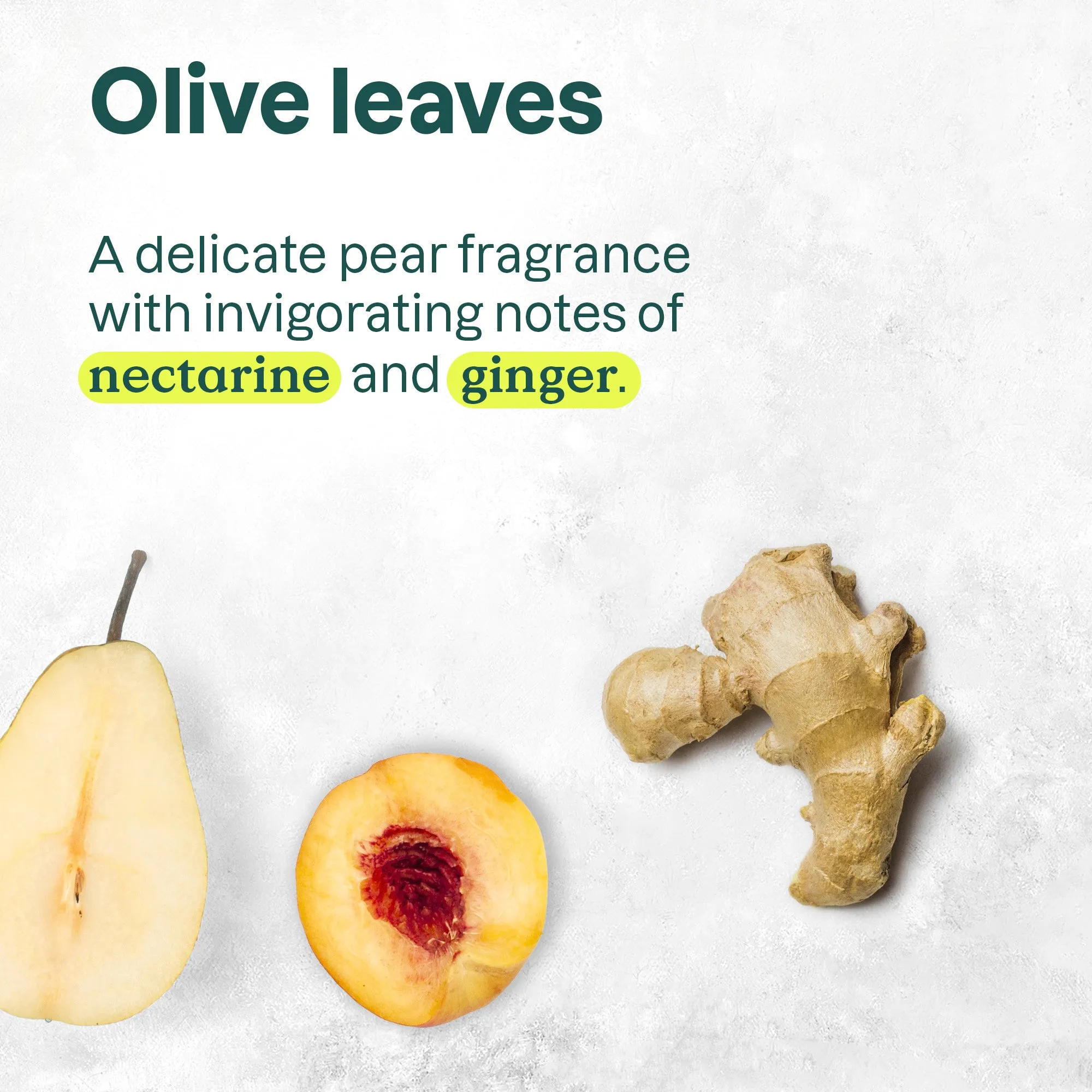 Nourishing shampoo : SUPER LEAVES™