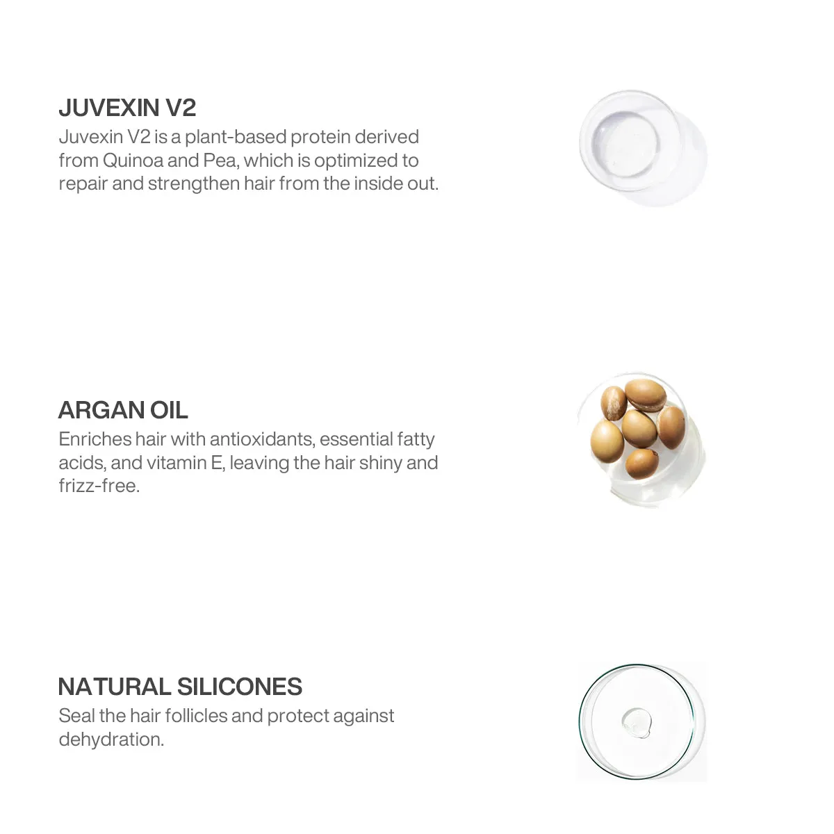 Serum Argan Oil for Hair DTS